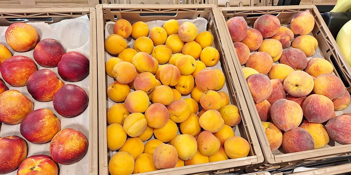 La frutta estiva italiana arriva in Gdo ... ma a dicembre